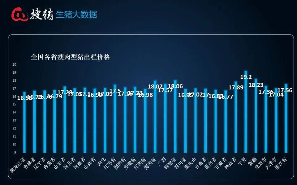 广东猪价最新动态及市场走势分析与预测报告