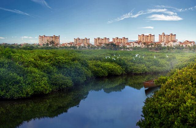 富力红树湾最新动态，引领城市生活新潮流风向标