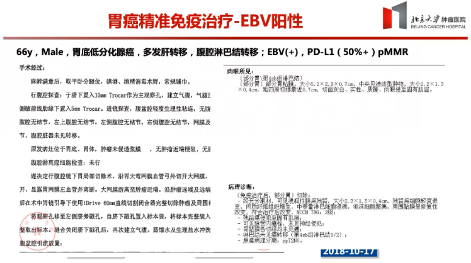 刘百温精准免费资料大全,实地评估说明_冒险版80.168