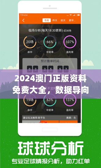 2024澳门正版精准免费大全,全面理解执行计划_MP28.507